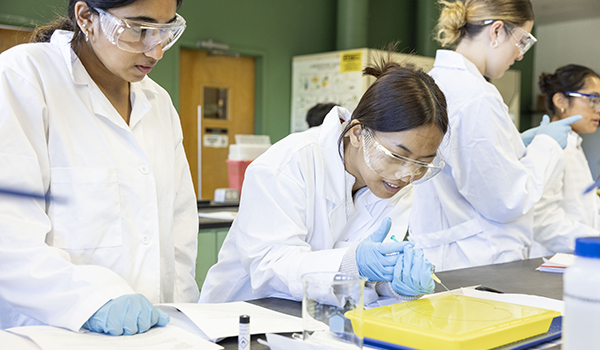 jefferson students in lab